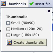 Extra thumbnail window