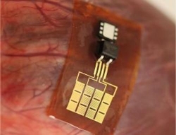 Nanoribbon on human organ