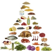 Diet pyramid