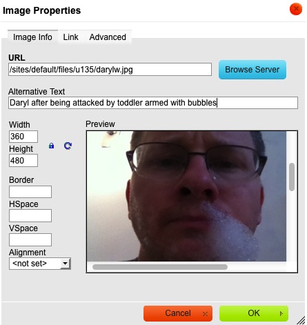 Image properties window with file selected